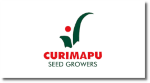 Curimapu
